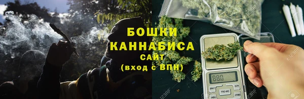 прущие крисы Гусев