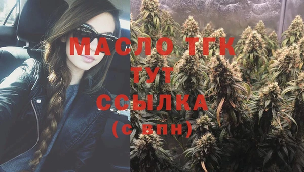 дживик Гусь-Хрустальный