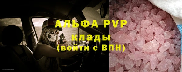 прущие крисы Гусев