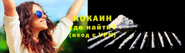 прущие крисы Гусев