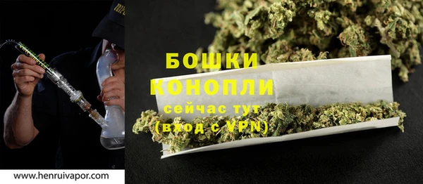 прущие крисы Гусев