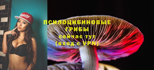 дживик Гусь-Хрустальный